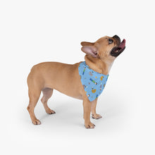 Load image into Gallery viewer, Pod Therapy Blue Pet Bandana - One Size
